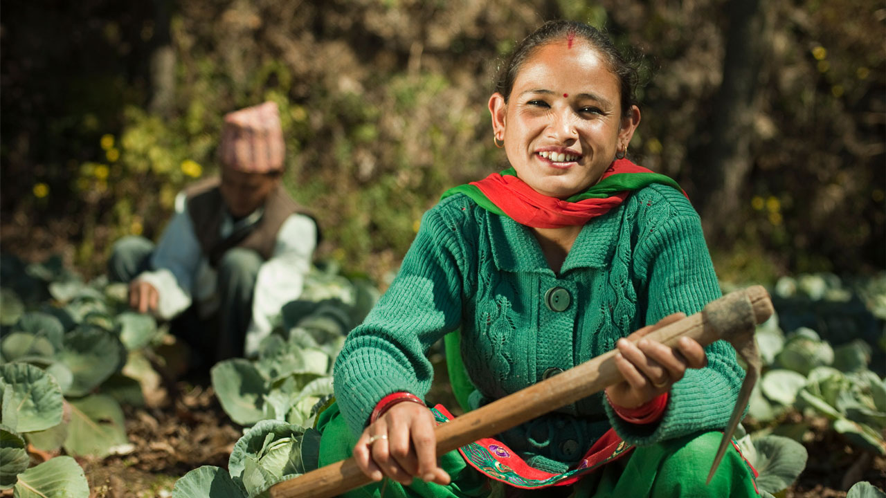 Female farmer holding a vegetable garden hoe with a content smile and male famer tending the crops in the background