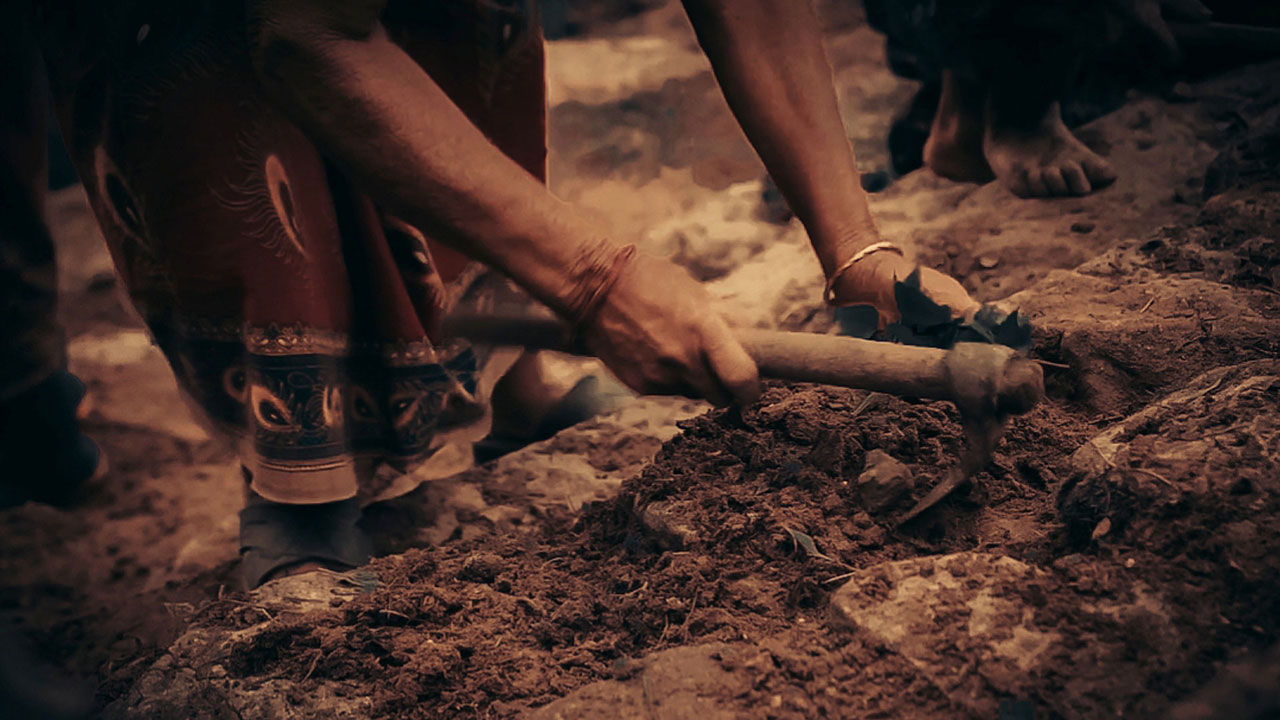 Farmer in the field with a garden hoe